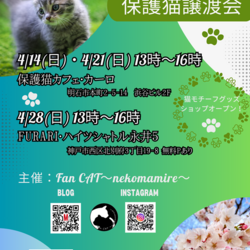 明石【譲渡会】猫まみれ with カーロ 第150回