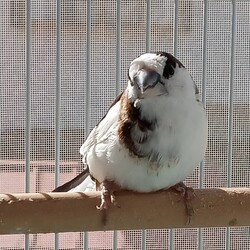 「お～ひ～さ～ま～」サムネイル2