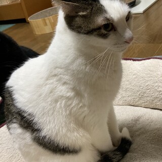 人が好き！綺麗な男の子 ！