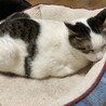 人が好き！綺麗な男の子 ！ サムネイル3