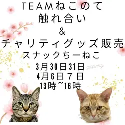 スナックちーねこ触れ合いかいを