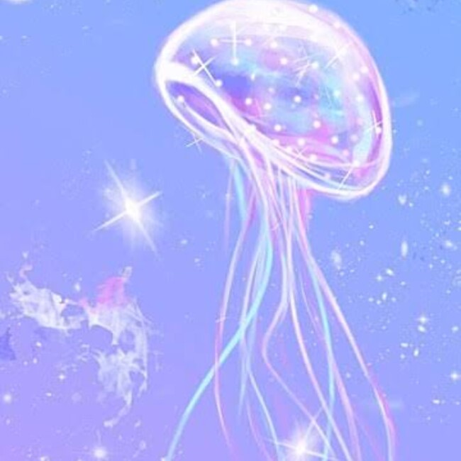 紅葉 のカバー写真