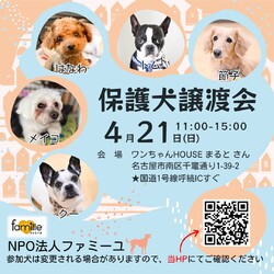 4/21(日)南区「わんちゃんHOUSEまると」で譲渡会を開催します！ サムネイル1