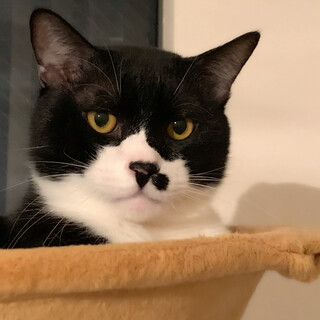 奄美からきました✨大きなお顔のユニークなムロさん