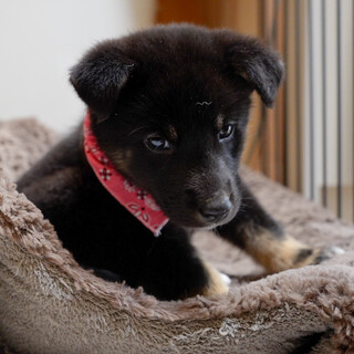 マイペースな美人さん！ななちゃん