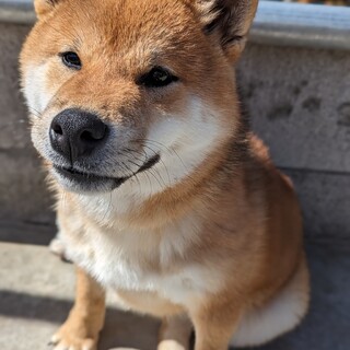 募集終了いたします