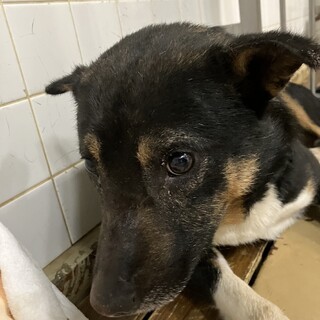 怖がりな男の子❗️生きる希望を‼️