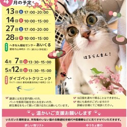 保護猫の譲渡会（ねこの歩添道 主催の譲渡会)
