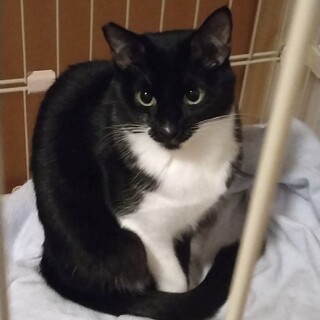 ３姉妹の三女、まなちゃん