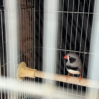 ※複数ご応募いただいた為一旦募集終了いたします