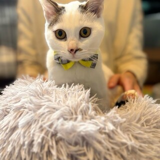 ずっとくっついていたい♡さぶくん