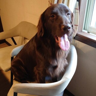 心優しい男の子です！