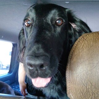 天真爛漫な女の子です！