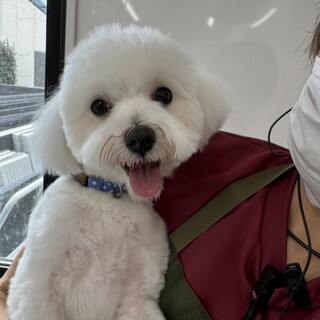 大ちゃん(応募者多数の為一時停止中)