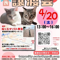 ◇保護猫の譲渡会◇in東京都多摩市聖蹟桜ヶ丘◇