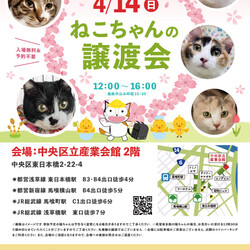 ねこざんまい譲渡会@東日本橋