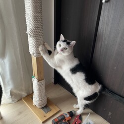 「コウちゃん、やっとメンテナンス」サムネイル1