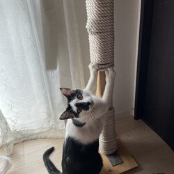 「コウちゃん、やっとメンテナンス」サムネイル2