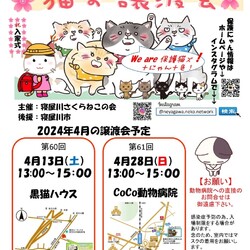 保護猫譲渡会 サムネイル1
