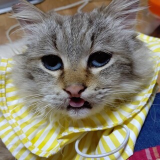 〝ムー君〟です♪