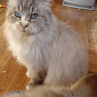 〝ココ君〟です♪