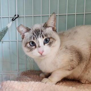 おっとりマッタリ性格抜群のえいくん！