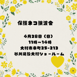 ハッピーりぼんの譲渡会