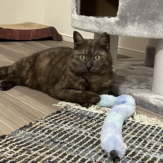 甘えん坊♡ナナちゃん♡