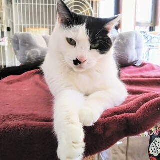 【チョビコ】スリゴロに変貌した食いしん坊小柄女子