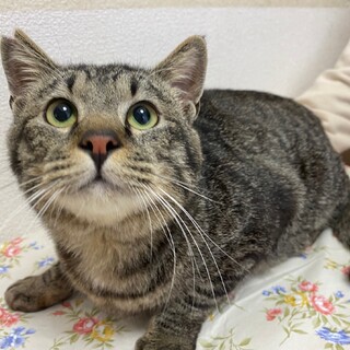 大人しくて優しい☆ドン君