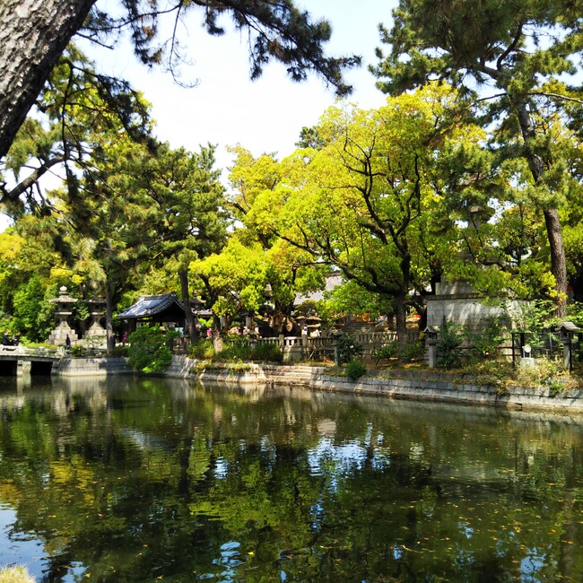 はくむのカバー写真