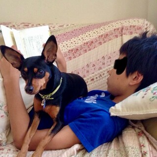 人懐こい犬、ルカの椅子になってください