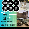 4/21譲渡会！　遊ぶの大好きキック君 サムネイル4