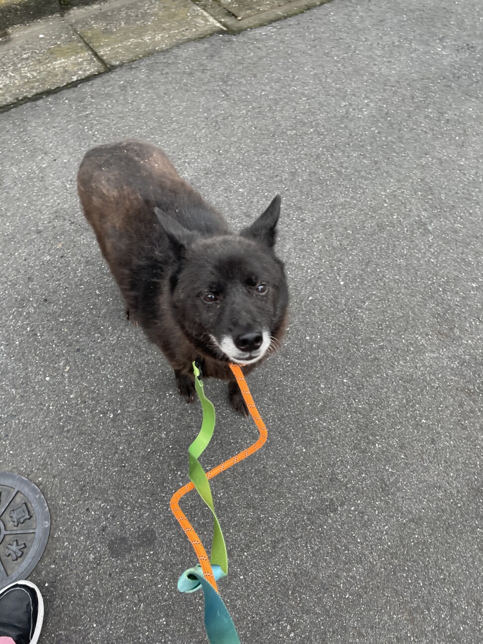 まん丸小粒なおめめがかわいいコナンちゃん サムネイル2