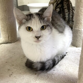 【4/14東銀座】ぼうちゃん★５ヵ月♪