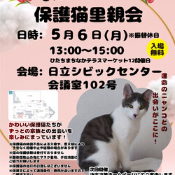 ひたちまちにゃか保護猫里親会