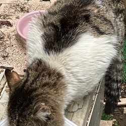 「その後」サムネイル2