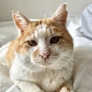 大顔面が可愛すぎる「そっくり」おとーさん