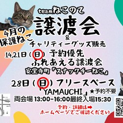 伊丹ふれあえる譲渡会