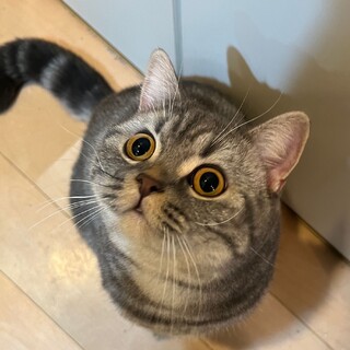 性格がいい男の子（尿道に問題がある子）