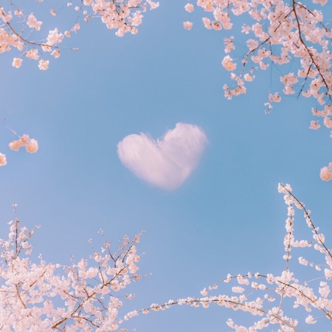 おむすびのお母さんのカバー写真