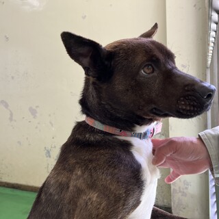 ありがとうございました！