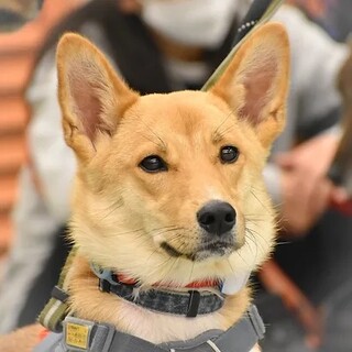 「太陽」男の子