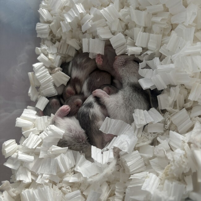 まいーぬのカバー写真