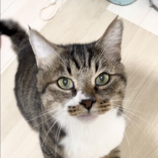 みんなの人気もののマルちゃん