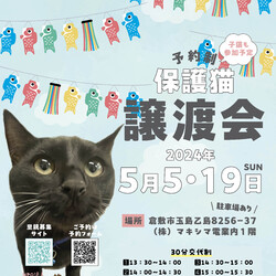 ほごっこ子猫の譲渡会（予約制）