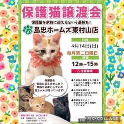 4月14日(日)島忠HOME'S東村山店譲渡会！