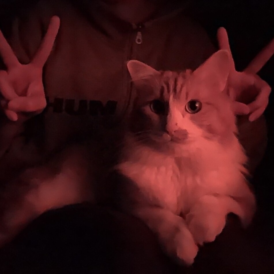 ちび之助のカバー写真