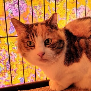 〝クリちゃん〟です♪