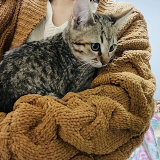 【4/21芝浦】ちょっとまだビビリさん★大麦くん